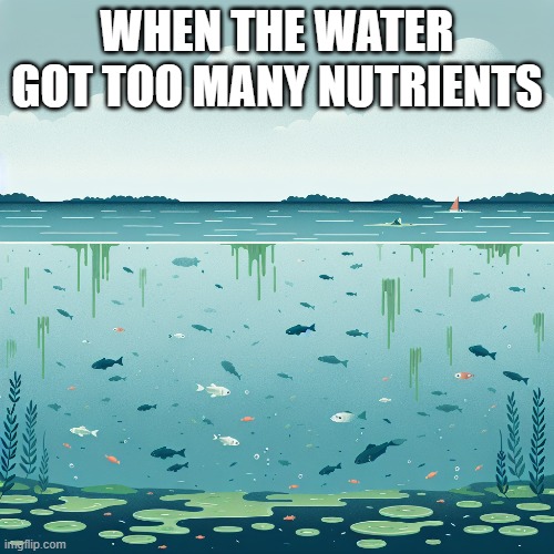 Environmental science memes | WHEN THE WATER GOT TOO MANY NUTRIENTS | image tagged in science | made w/ Imgflip meme maker