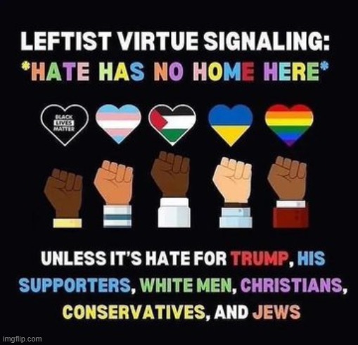 Inconvenient Truth | image tagged in leftists,democrats,hate,intolerance,tds,virtue signalling | made w/ Imgflip meme maker