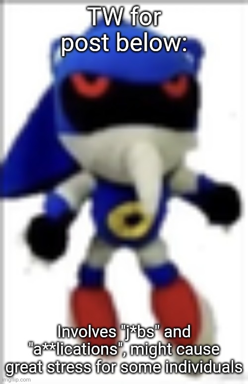 Had to put this out there ro warn you all | TW for post below:; Involves "j*bs" and "a**lications", might cause great stress for some individuals | image tagged in silly metal sonic plush | made w/ Imgflip meme maker