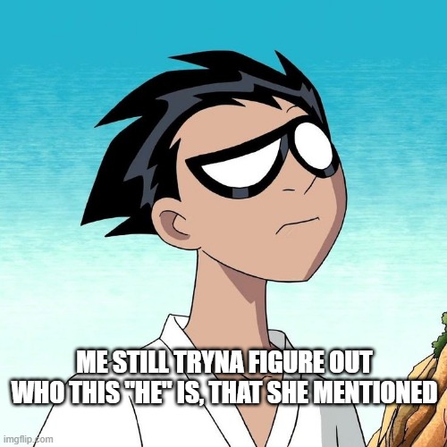 ME STILL TRYNA FIGURE OUT WHO THIS "HE" IS, THAT SHE MENTIONED | image tagged in robin | made w/ Imgflip meme maker