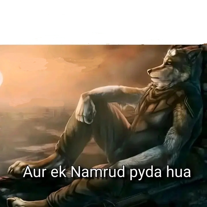 Wolf Blank Meme Template