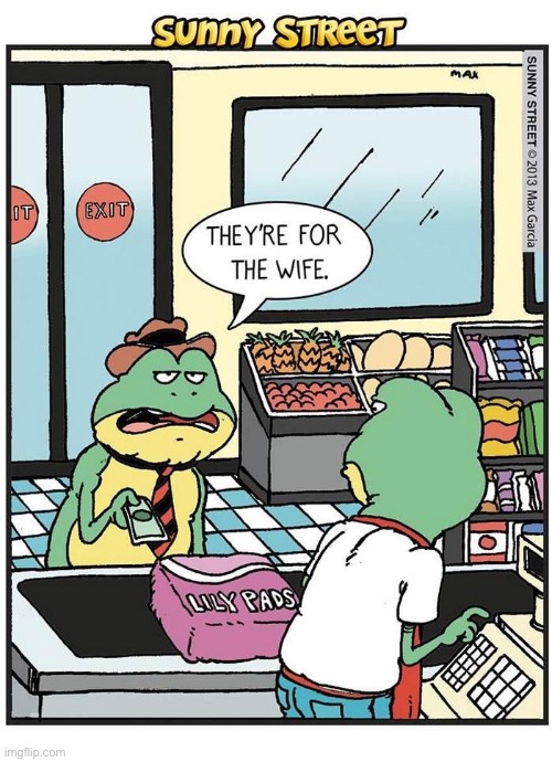 image tagged in comics,sunny street,frog,lily pads,grocery store | made w/ Imgflip meme maker