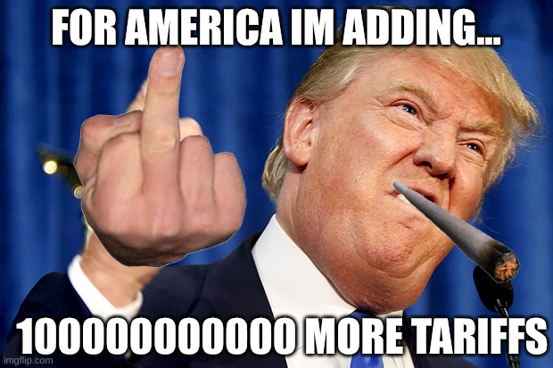Donald Trump | FOR AMERICA IM ADDING... 100000000000 MORE TARIFFS | image tagged in donald trump | made w/ Imgflip meme maker