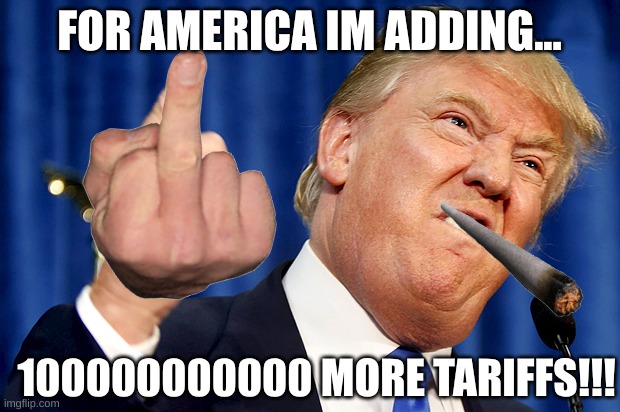 Donald Trump | FOR AMERICA IM ADDING... 100000000000 MORE TARIFFS!!! | image tagged in donald trump | made w/ Imgflip meme maker