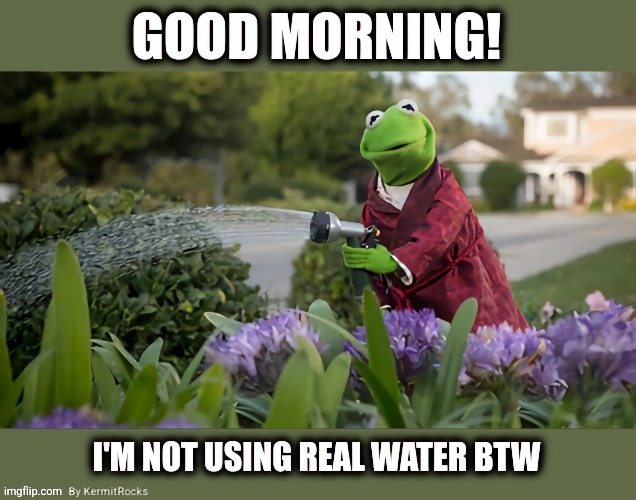 KermitRocks | image tagged in memes | made w/ Imgflip meme maker