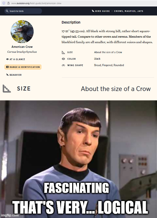 The standard of measurement in birds | FASCINATING; THAT'S VERY... LOGICAL | image tagged in fascinating spock | made w/ Imgflip meme maker