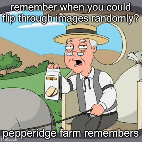 bring back the shuffle button PLEASE | remember when you could flip through images randomly? pepperidge farm remembers | image tagged in memes,pepperidge farm remembers | made w/ Imgflip meme maker