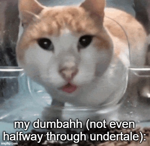 Mr Shock stare | my dumbahh (not even halfway through undertale): | image tagged in mr shock stare | made w/ Imgflip meme maker