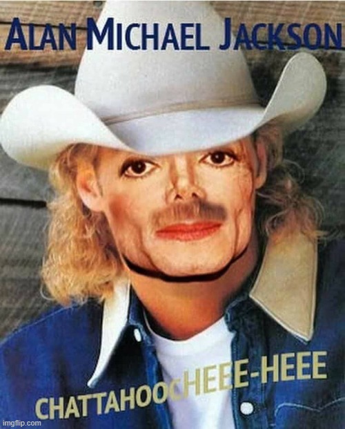 If Michael Jackson & Alan Jackson had a Baby | image tagged in vince vance,michael jackson,alan jackson,cowboy hat,country music,memes | made w/ Imgflip meme maker