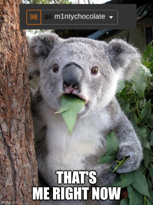 what did I do | THAT'S ME RIGHT NOW | image tagged in memes,surprised koala | made w/ Imgflip meme maker