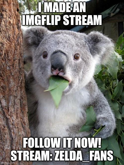 FOLLOW MY STREAM | I MADE AN IMGFLIP STREAM; FOLLOW IT NOW!
STREAM: ZELDA_FANS | image tagged in memes,surprised koala | made w/ Imgflip meme maker