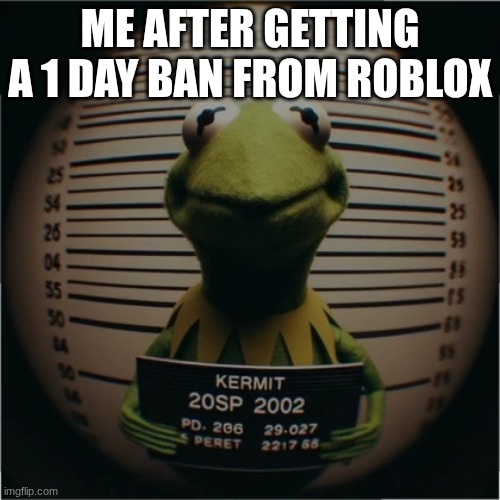 ME AFTER GETTING A 1 DAY BAN FROM ROBLOX | image tagged in memes | made w/ Imgflip meme maker