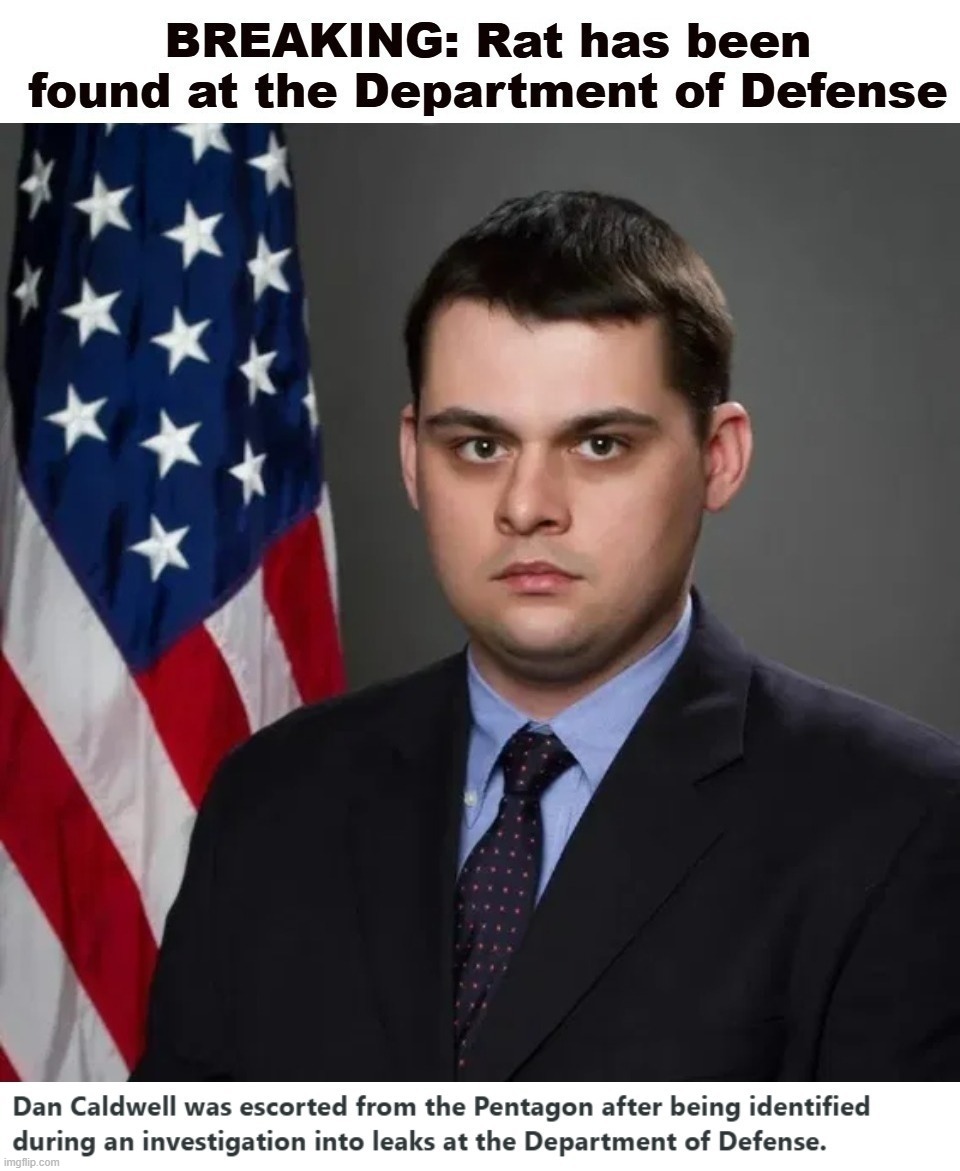 BREAKING: Contemplating Suicide Guy was escorted from the Pentagon after being identified during an investigation. | image tagged in contemplating suicide guy,donald trump you're fired,leaker,traitor,treason,sedition | made w/ Imgflip meme maker