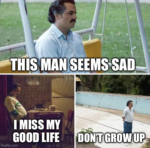 Sad Pablo Escobar | THIS MAN SEEMS SAD; I MISS MY GOOD LIFE; DON’T GROW UP | image tagged in memes,sad pablo escobar | made w/ Imgflip meme maker