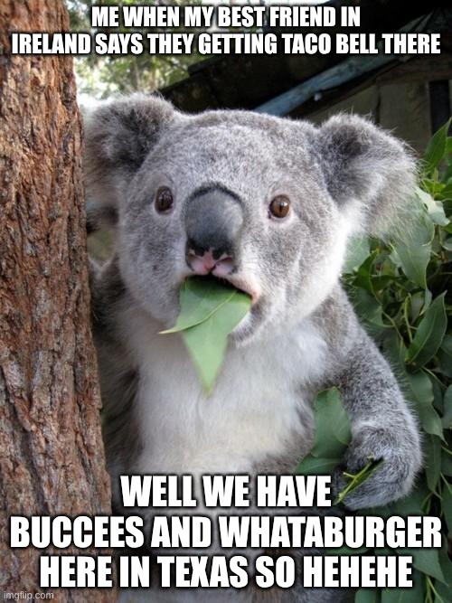 Surprised Koala | ME WHEN MY BEST FRIEND IN IRELAND SAYS THEY GETTING TACO BELL THERE; WELL WE HAVE BUCCEES AND WHATABURGER HERE IN TEXAS SO HEHEHE | image tagged in memes,surprised koala | made w/ Imgflip meme maker