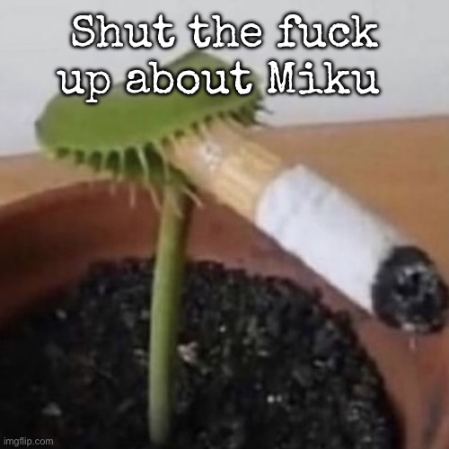 I know since tweak’s post there gonna be drama | Shut the fuck up about Miku | image tagged in plant weeds,msmg | made w/ Imgflip meme maker