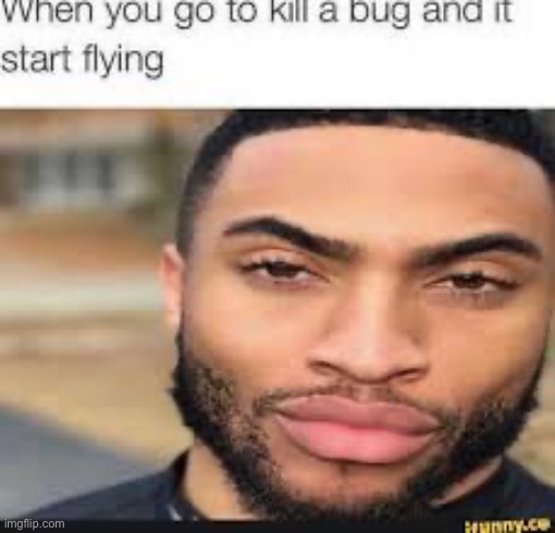 Real | image tagged in memes,bugs,repost | made w/ Imgflip meme maker