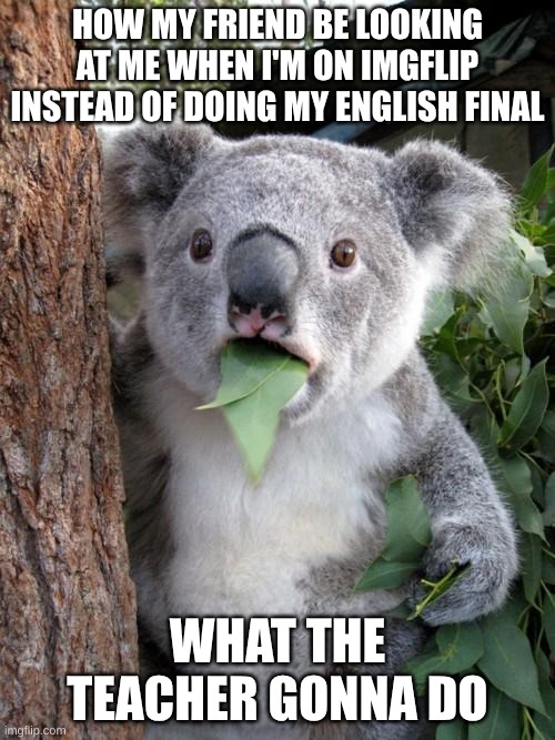 Surprised Koala | HOW MY FRIEND BE LOOKING AT ME WHEN I'M ON IMGFLIP INSTEAD OF DOING MY ENGLISH FINAL; WHAT THE TEACHER GONNA DO | image tagged in memes,surprised koala | made w/ Imgflip meme maker