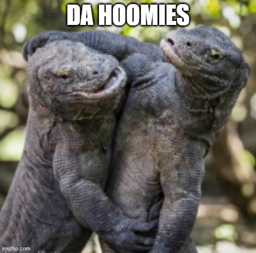 when you need hug | DA HOOMIES | image tagged in funny memes | made w/ Imgflip meme maker
