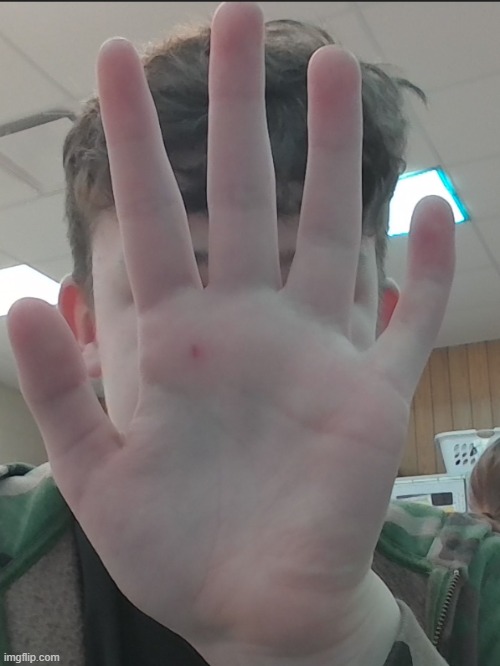 hand reveal | image tagged in hi | made w/ Imgflip meme maker