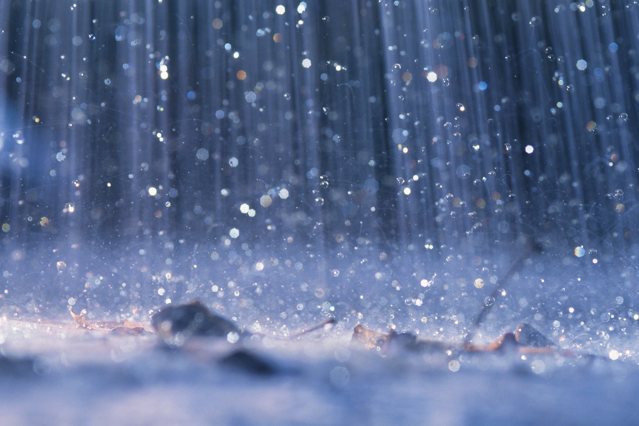 Rain Blank Meme Template