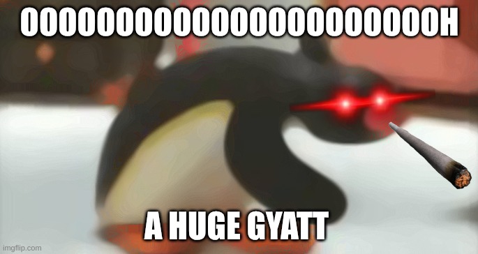 funny penguin | OOOOOOOOOOOOOOOOOOOOOOH; A HUGE GYATT | image tagged in funny penguin | made w/ Imgflip meme maker