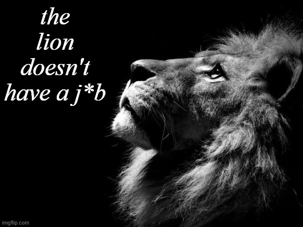 sad lion | the lion doesn't have a j*b | image tagged in sad lion | made w/ Imgflip meme maker