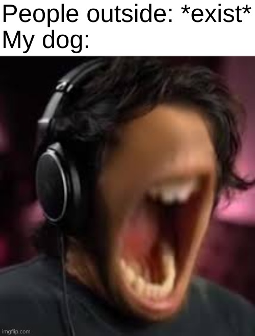 B A R K | People outside: *exist*
My dog: | image tagged in markiplier | made w/ Imgflip meme maker