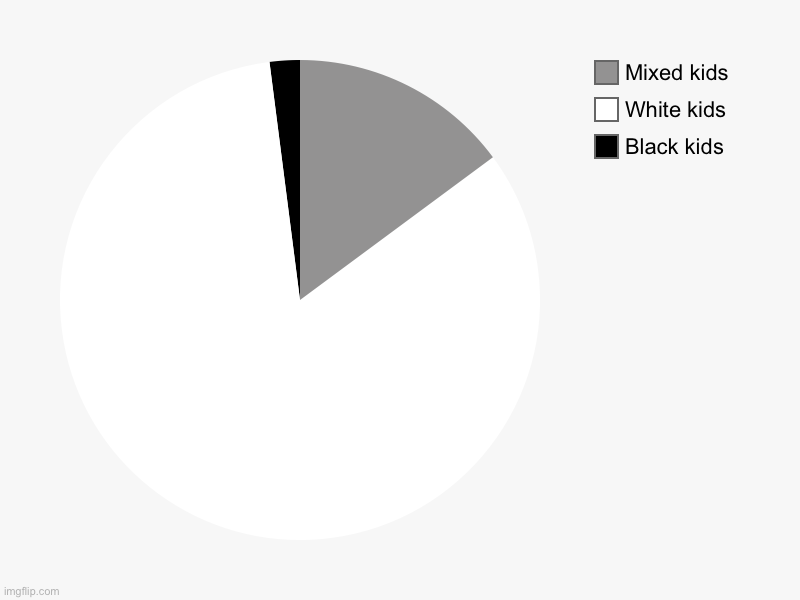 The only thing I see is white | Black kids, White kids, Mixed kids | image tagged in charts,pie charts | made w/ Imgflip chart maker