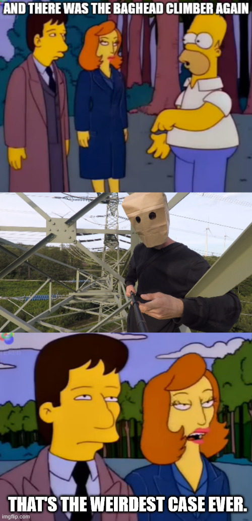 The Springfield Files | THAT'S THE WEIRDEST CASE EVER. | image tagged in x files,the simpsons,lattice climbing,climbing,memes,homer simpson | made w/ Imgflip meme maker