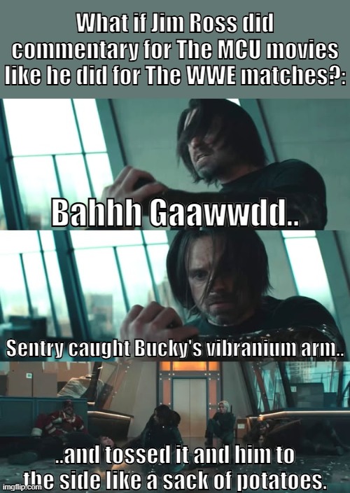 What if Jim Ross commented The MCU? | What if Jim Ross did commentary for The MCU movies like he did for The WWE matches?:; Bahhh Gaawwdd.. Sentry caught Bucky's vibranium arm.. ..and tossed it and him to the side like a sack of potatoes. | image tagged in wrestling,marvel cinematic universe | made w/ Imgflip meme maker