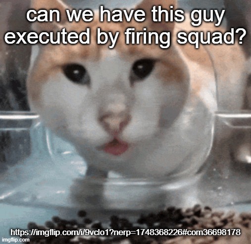 Mr Shock stare | can we have this guy executed by firing squad? https://imgflip.com/i/9vclo1?nerp=1748368226#com36698178 | image tagged in mr shock stare | made w/ Imgflip meme maker