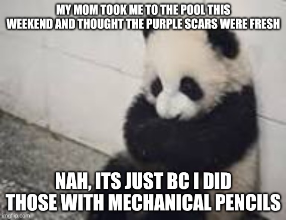 sad panda | MY MOM TOOK ME TO THE POOL THIS WEEKEND AND THOUGHT THE PURPLE SCARS WERE FRESH; NAH, ITS JUST BC I DID THOSE WITH MECHANICAL PENCILS | image tagged in sad panda | made w/ Imgflip meme maker