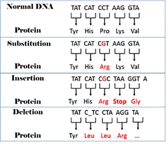 Mutations Therepy Blank Meme Template