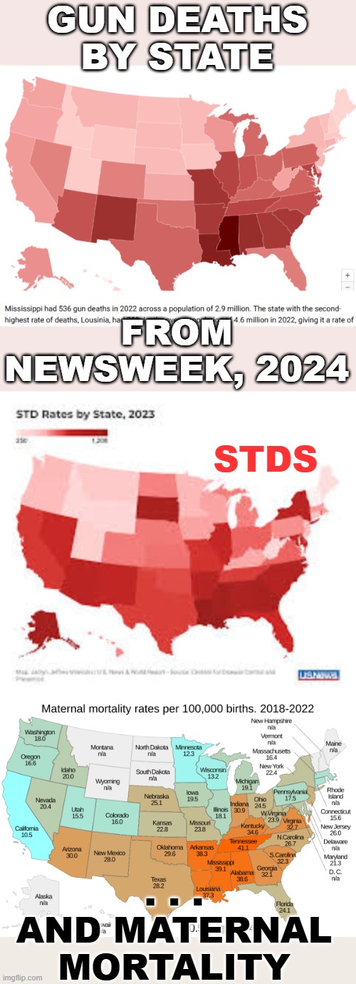 GUN DEATHS BY STATE; FROM NEWSWEEK, 2024; STDS; . . . AND MATERNAL MORTALITY | made w/ Imgflip meme maker