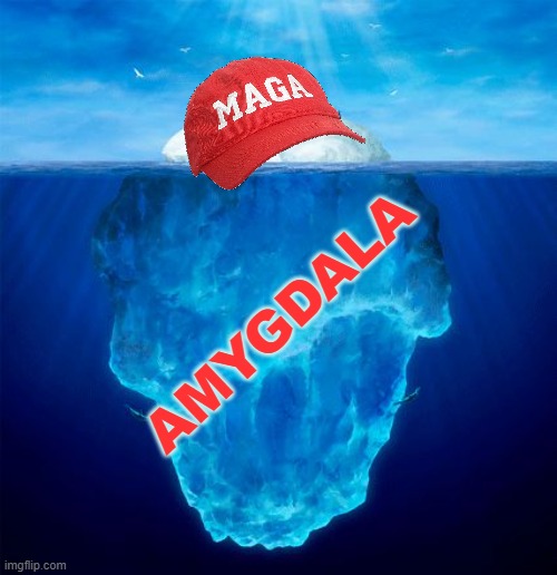 Yoda was right | AMYGDALA | image tagged in iceberg,fear,hate,star wars,maga,idiocracy | made w/ Imgflip meme maker