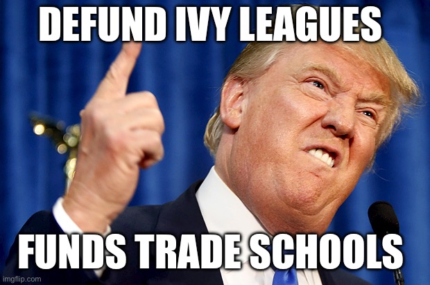 Donald Trump | DEFUND IVY LEAGUES; FUNDS TRADE SCHOOLS | image tagged in donald trump,college,university,politics,political meme | made w/ Imgflip meme maker