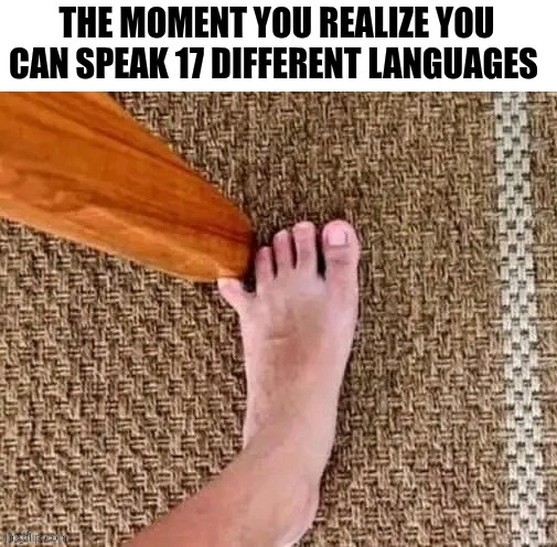 The Moment You Realize You Can Speak 17 Different Languages | THE MOMENT YOU REALIZE YOU CAN SPEAK 17 DIFFERENT LANGUAGES | image tagged in chrisjoines1 | made w/ Imgflip meme maker