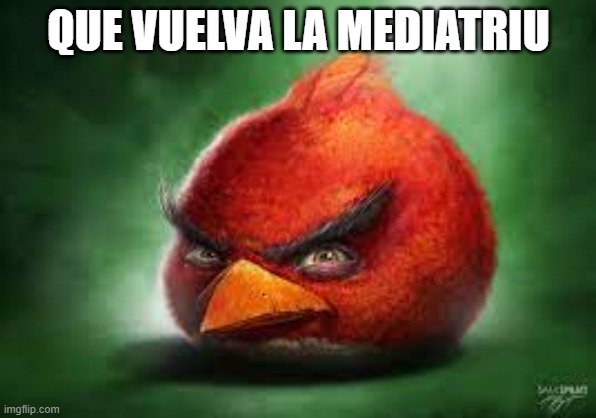 Realistic Red Angry Birds | QUE VUELVA LA MEDIATRIU | image tagged in realistic red angry birds | made w/ Imgflip meme maker