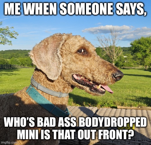 That look I give | ME WHEN SOMEONE SAYS, WHO’S BAD ASS BODY DROPPED MINI IS THAT OUT FRONT? | image tagged in that look,side eye,dog,eyeball | made w/ Imgflip meme maker