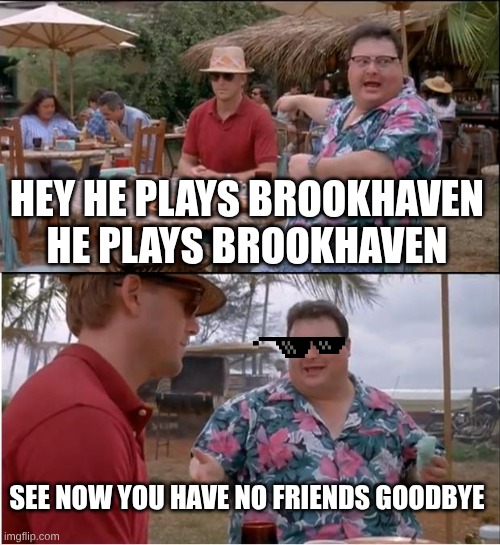 See Nobody Cares Meme | HEY HE PLAYS BROOKHAVEN HE PLAYS BROOKHAVEN SEE NOW YOU HAVE NO FRIENDS GOODBYE | image tagged in memes,see nobody cares | made w/ Imgflip meme maker