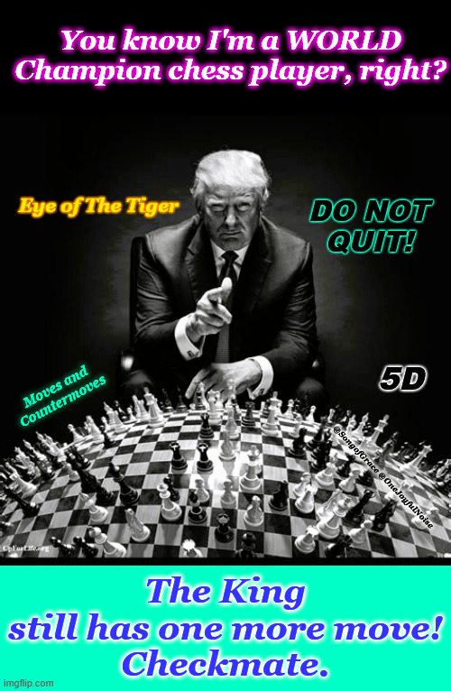 World Champion Chess Player | You know I'm a WORLD Champion chess player, right? Eye of The Tiger; DO NOT
QUIT! 5D; Moves and Countermoves; @SongofGrace @OneJoyfulNoise; The King still has one more move!
Checkmate. | image tagged in 5d chess | made w/ Imgflip meme maker