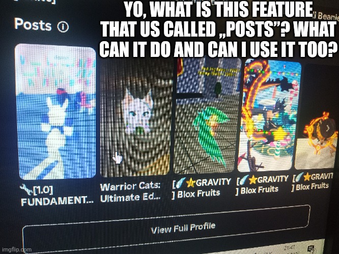 I never saw this, ok? So I do not know what is it. | YO, WHAT IS THIS FEATURE THAT US CALLED „POSTS”? WHAT CAN IT DO AND CAN I USE IT TOO? | image tagged in mystery,featured | made w/ Imgflip meme maker