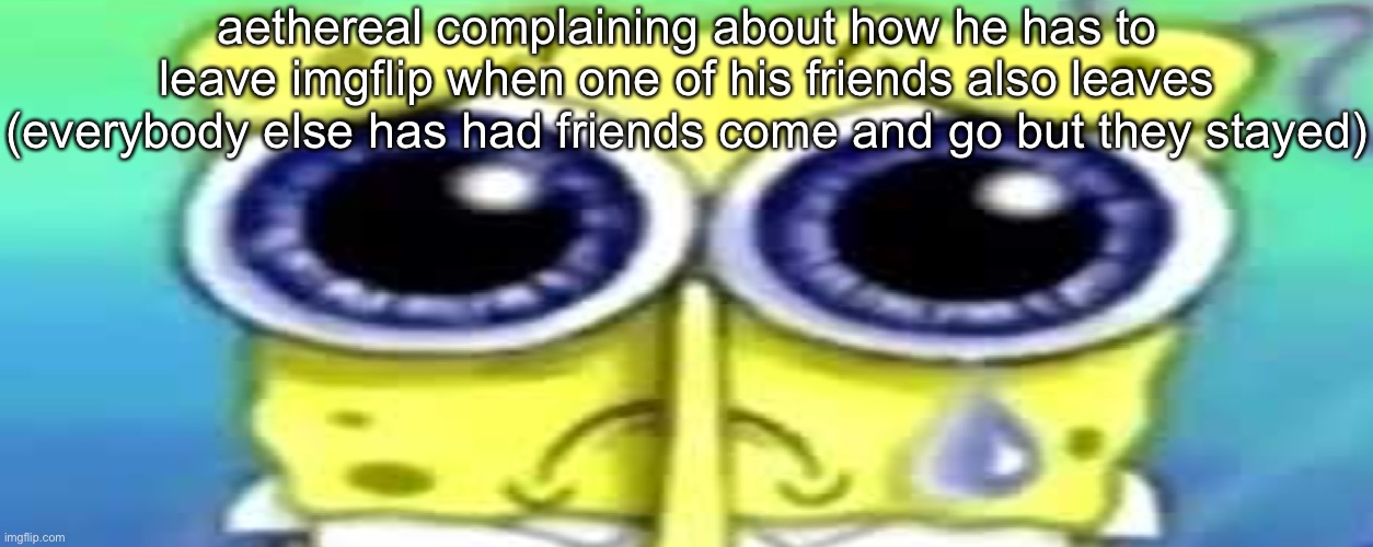 Sad Spong | aethereal complaining about how he has to leave imgflip when one of his friends also leaves (everybody else has had friends come and go but they stayed) | image tagged in sad spong | made w/ Imgflip meme maker