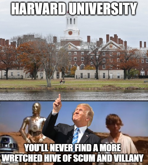 Boo Harvard | HARVARD UNIVERSITY; YOU'LL NEVER FIND A MORE WRETCHED HIVE OF SCUM AND VILLANY | image tagged in harvard,star wars mos eisley | made w/ Imgflip meme maker