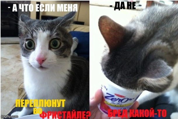 -Try behind the corner, duuude. | image tagged in foreign policy,best memes,warrior cats,guess who,funny cats,true story bro | made w/ Imgflip meme maker
