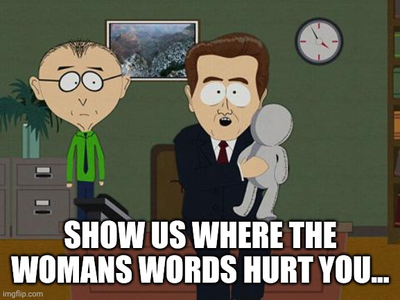 Show me on this doll | SHOW US WHERE THE WOMANS WORDS HURT YOU... | image tagged in show me on this doll | made w/ Imgflip meme maker