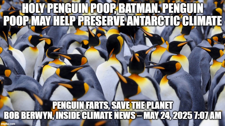 Penguin farts vs cow farts? | HOLY PENGUIN POOP, BATMAN. PENGUIN POOP MAY HELP PRESERVE ANTARCTIC CLIMATE; PENGUIN FARTS, SAVE THE PLANET
BOB BERWYN, INSIDE CLIMATE NEWS – MAY 24, 2025 7:07 AM | image tagged in holy penguin poop batman | made w/ Imgflip meme maker