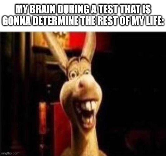 Argument donkey shrek | MY BRAIN DURING A TEST THAT IS GONNA DETERMINE THE REST OF MY LIFE: | image tagged in argument donkey shrek | made w/ Imgflip meme maker