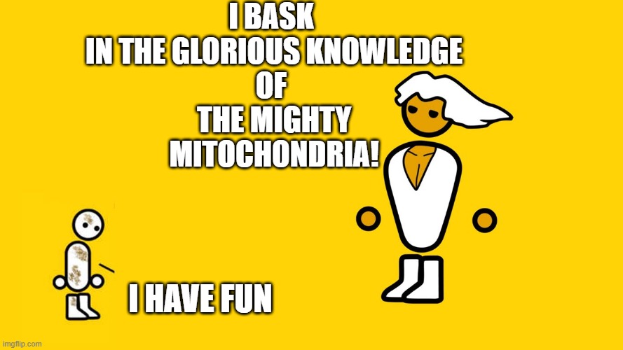 Glorious Master Race - Blank Template | I BASK 
IN THE GLORIOUS KNOWLEDGE
OF 
THE MIGHTY
MITOCHONDRIA! I HAVE FUN | image tagged in glorious master race - blank template | made w/ Imgflip meme maker